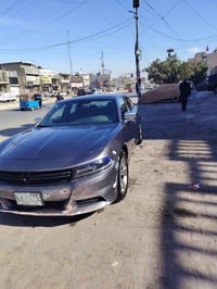 للبيع جارجر ١٧ اصل صبغ حزام حادث بابتين ارباك برده فقط السعر ١٤٥ وبيهه...