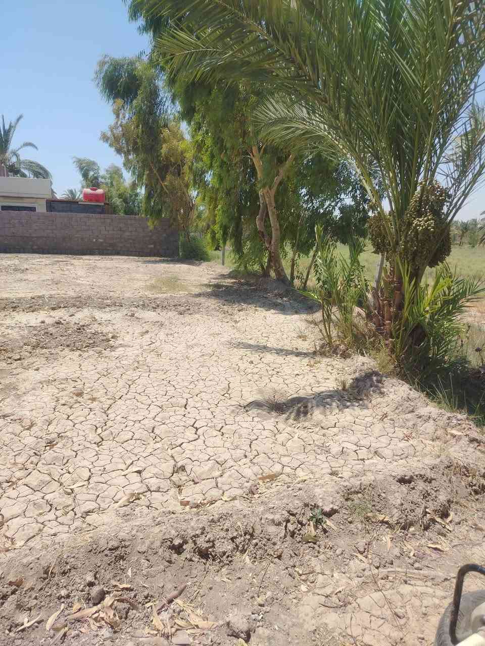 قطعة أرض للبيع المساحه 500 مع الممر طابو زراعي سند 25 يوجد فيها زرع أشجار ونخيل القطعه مسيجه بالكامل مع الدفان العنوان منطقة هوى الشام تبعد عن الشارع العام 3ونص كيلو على طريق حله قاسم متوفر كافة الخدمات كهرباء وماء.... السعر 16 مليون
للتواصل على الرقم ***********
