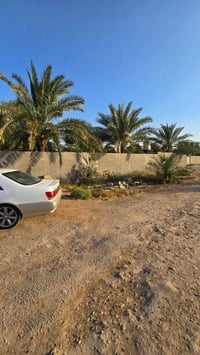 طابو زراعي سند ٢٥ • نص دونم • بناء ٢٨٠م