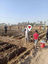 كادر مال تريب تنزيل بانيه متوفر عليك تتصل وتلل التصال برقم 07510899101...