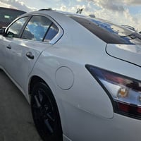 فول جلد • ٢٠١٣ • أربيل