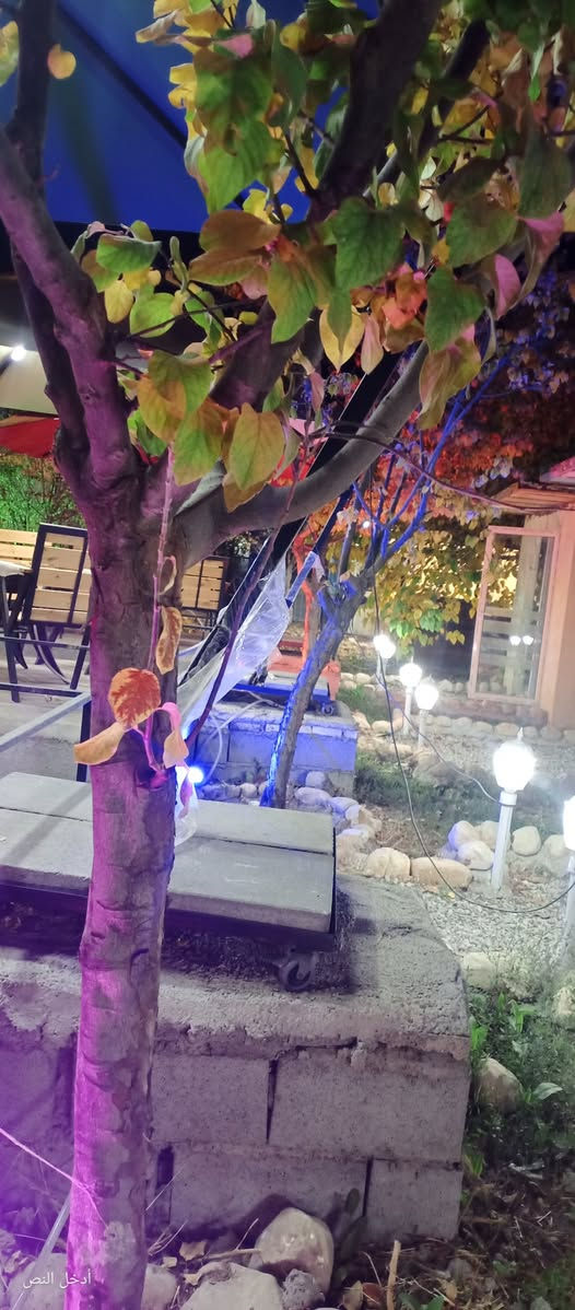 الى طلابنا الأعزاء توجد فتره اقامه لمدة عشرة أيام 10ايام يشمل السكن والنقل وإفطار صباحي ابتدأء من يوم 24/12لغايه يوم 1/2/2026بسعر 175الف دينار برنامج سياحي لمده يومان والباقي سكن ونقل عنواننا واسط نعمانيه/وبغداد بغداد الجديدة تلفون *********** السكن في ايلام شقق و فنادق وبيوت واهلا وسهلا
