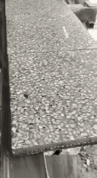 بغداد

ياالله 
 بغداد.        شجع المنتج لوطني 
 كاشي عراقي باحدث المكابس اوتماتيك  40×40 
وباحدث الجلايات. وانجح 
      بل فحص المختبري بأمتياز
كاشي عراقي لموزايك سعر لمتر  مع التوصيل7الف 
كاشي عراقي مطعم بل مرمر سعر 11500   المتر مع التوصيل. اتصل  اسعار جوه السوك ومواد بناء وسراميك وبورسلين
مستعدون لتجهيز المشاريع الحكومية والأهلية 
للحجز والاستفسار اتصل على الرقم
٠***********/***********السيه بي وتساب
