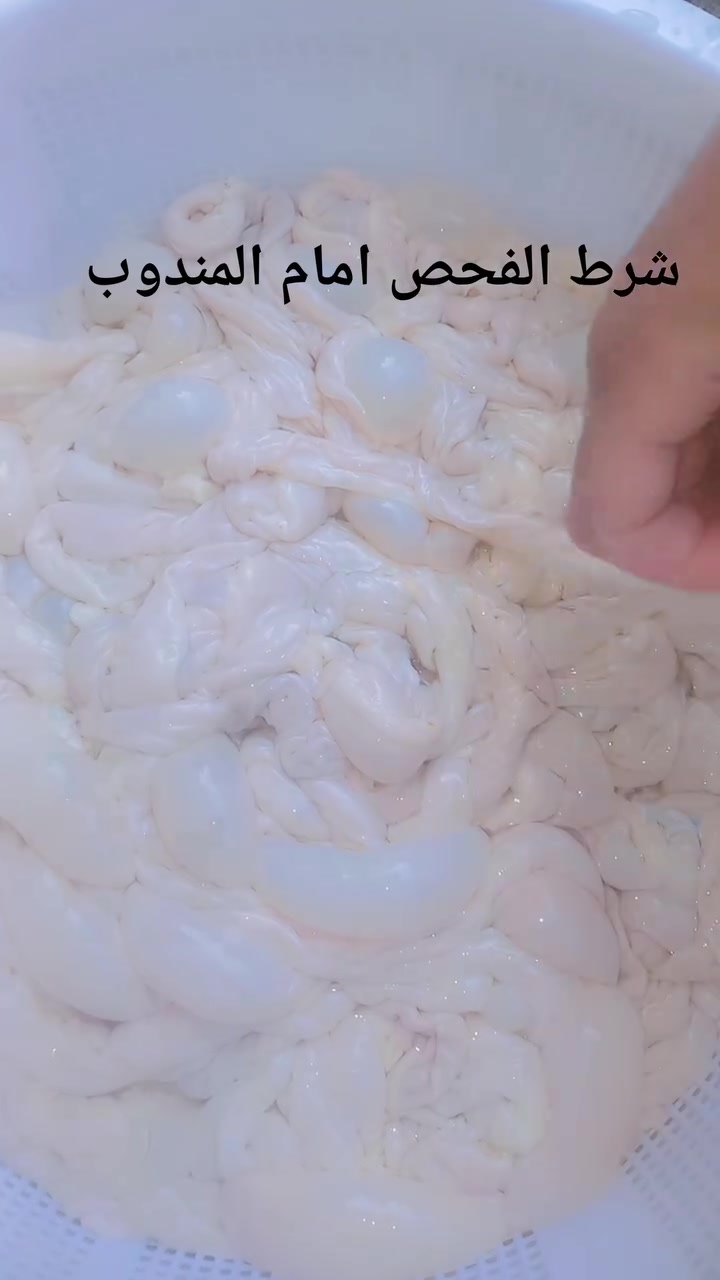 السلام عليكم 
متوفر غدا وجبة بمبارات مطبوخ مع كيبايات غنم مطبوخ 
وجبة جديدة وصلت.. الطعم الأصلي للبمبار والكراش! 🐑🔥
​
لمحبي الأكل الدسم والمعدل، فتحنا باب الحجز الآن على وجبة جديدة (فرش) من البمبار وكراش الغنم، شغل نظيف ومرتب يليق بيكم.
​✅ ليش تطلب من عندنا؟
​لحم غنم طازج 100%.
​طعم ولا أطيب ونظافة مضمونة.
​توصيل سريع لكل مناطق الموصل (الجانب الأيسر والأيمن).
​📞 لحجز وجبتك قبل النفاذ:
راسلنا فوراً على بريد الصفحة 📩
أو اتصل مباشرة على الرقم: ***********
​🛑 ملاحظة: الكمية محدودة، اطلب الآن ولا تفوتك!
(أصدقائنا الطيبين، علقوا بـ "تم" أو ملصق لرفع المنشور ليصل ممﻤللجميع) #بمبار #كراش #باجة #غنم #ممبار #اكلات_عراقية #اكلات_شعبية #كرشات #حشوة_عراقية #طبخ_عراقي #طعم_زمان
