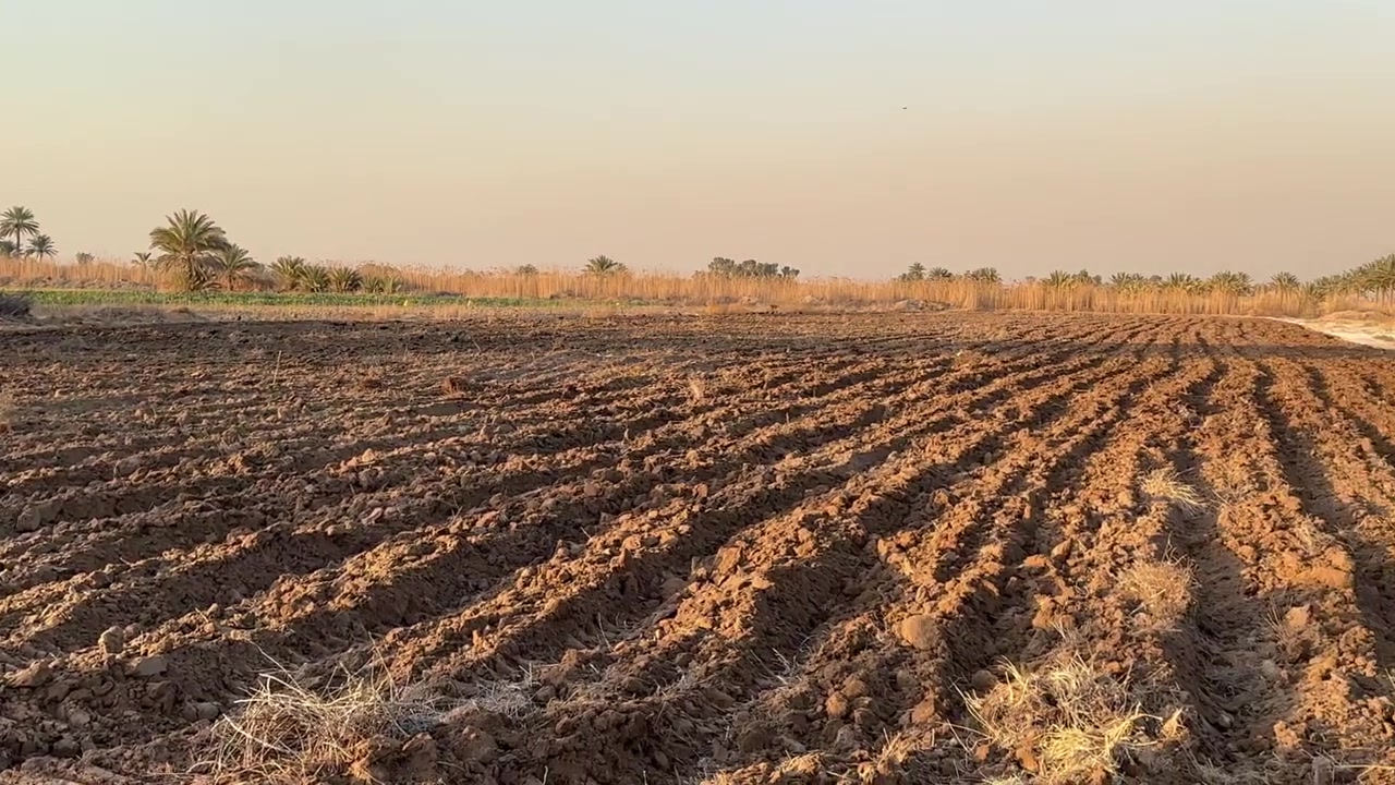 سلام عليكم
أرض للبيع كلش حلوة ومخدومه تحويل مباشر طابو سند/٢٥/مساحه الأرض/٤/دونم تباع حسب طلب كافة الخدمات متوفرة ماء اساله كهرباء تبليط ماء سقي عنوان بغداد اليوسفيه جسر صبار بئر الحمام 
استفسار واتساب ***********
