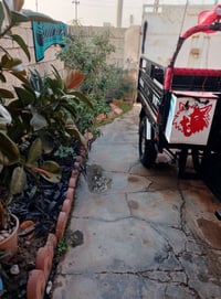 ستوته موديل 20 منفيس وياها السعر 1300 وبيها مجال 07701074198