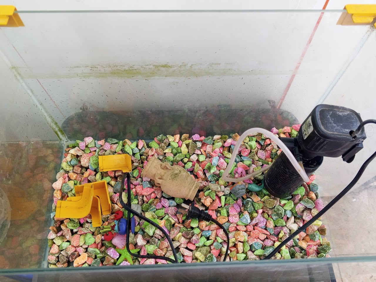 احواض اسماك زينه للبيع 
احواض اربعه نضيفه جداا مكاني كوت للاستفسار ع لخاص


**إذا كنت صاحب هذا الإعلان وتريد حذفه لأي سبب، رجاءا أرسل رسالة إلى الدعم الفني**