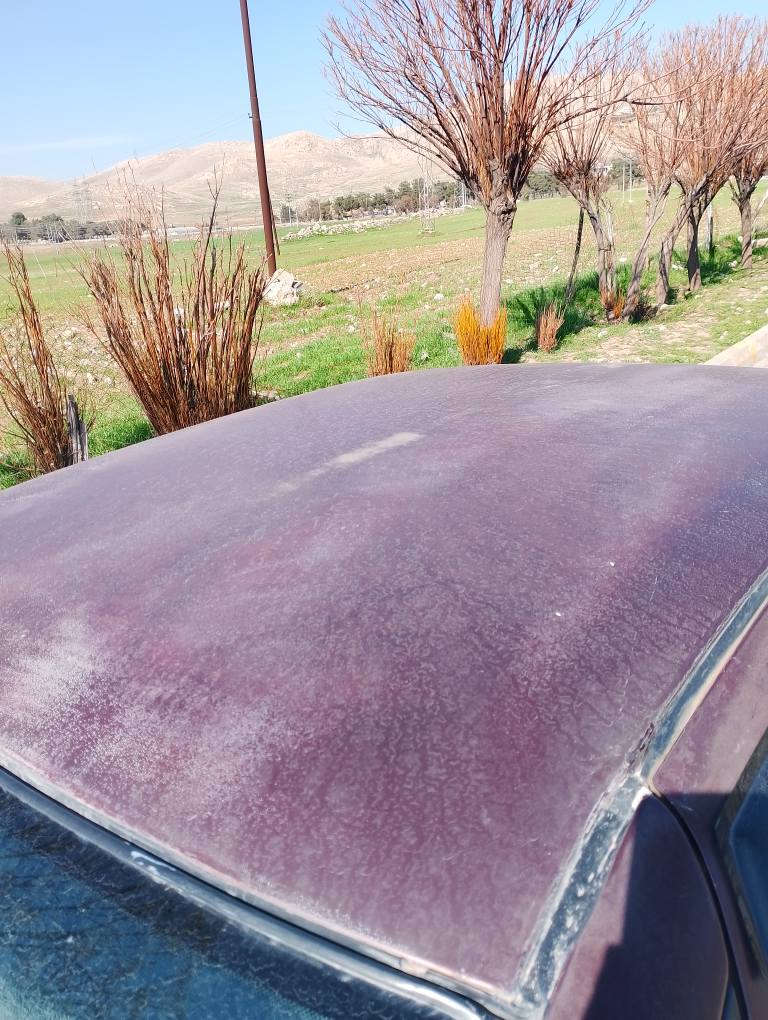 ۆپڵ ڤیکترا مۆدێل 1990 تۆماتیک 
ڕەقەم سلێمانی سەنەوی تازەیە 
گێڕ و مەکینە بەشەرت 
تەحویل و غرامە بە شەرت
 شوێن بازیان

ڕەقەم: *********** 
هیمن نیە تەلەفون بۆ خاوەنی بکەن شربازهير, السليمانية
