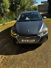 فول • ٢٠١٧ • رقم سليمانيه