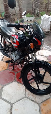 بوكسر 22 • أوراق أصلية • بابل الحمزة الغربي