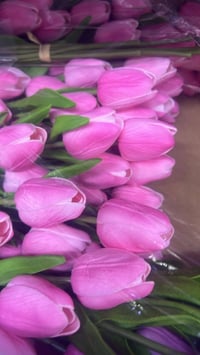 يوجد ورد صناعي يوجد خدمه توصيل  للتوصل واتس  07723378002