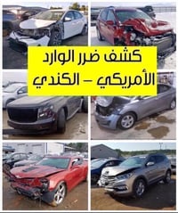 كشف ضرر • وارد أمريكي/كندي/مكسيكي • كارفاكس/أوتوجك