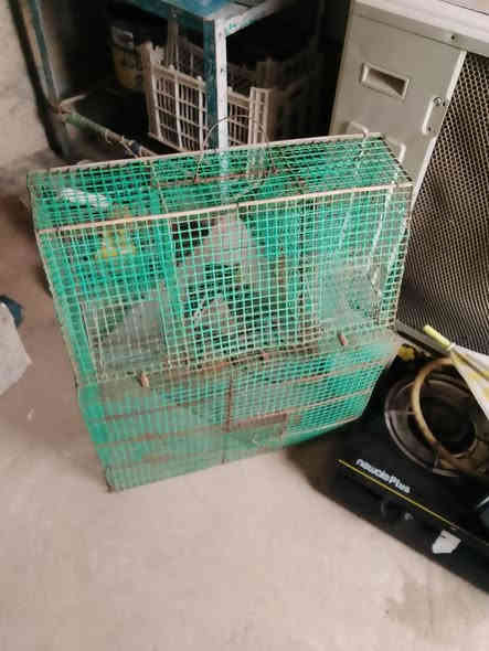 للبيع شلع  قلع كامل سعر 70 بي مجال للطيبين الرقم ***********.    ***********
