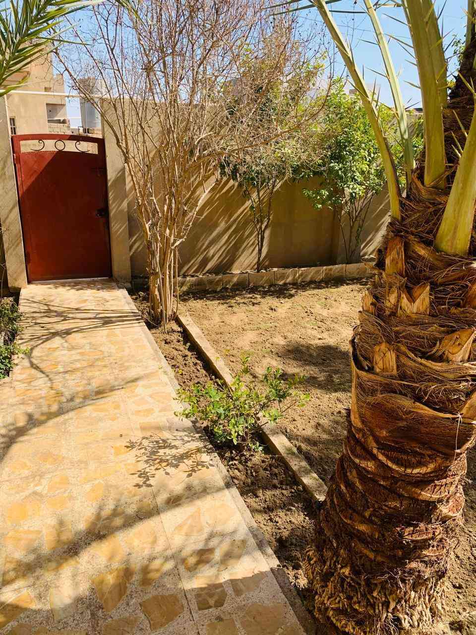 السلام عليكم اشتقل جميع الحدائق والبساتين  وتنظيف الحدائق من الدغل وتقليم الأشجار وزرع الشتل وقص الحدائق بل مكينه عل نمره وحدة وقص الأشجار الكبار  كادر متميز وسريع إتصل رقم الهاتف***********
