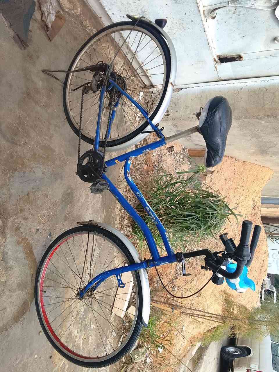 بايسكل بناتي 26 للبيع
نقوصات الچاملغ الخلفي ما بي و التاير الخلفي بي عواج مثل ما واضح بالفيدو 
ويا سيباية و يدة بريك و الحديدة الامامية الي تشكل بيها سلة و بريك خلفي 
البايسكل امشي بي مسافات بعيدة خفيف و كلش حلو بالمشي كير شغال 
                                 السعر 40 و بي مجال 
واتساب ***********
