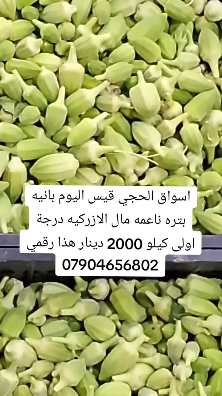 اسواق الحجي قيس اليوم بانيه بتره مال الازركيه درجة اولى كيلو 2000 دينار هذا رقمي ***********
