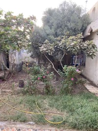 الدارللبيع في حي الفرات قرب الموستوصف المساحة 253 والواجهة 11ونص  0782...