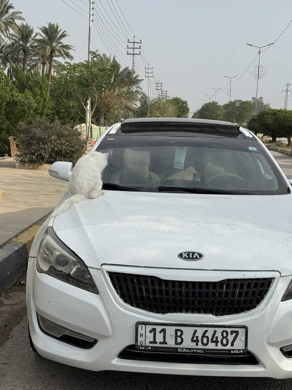 البنيد فقط فتح وراجع نفسه
+باب السايق نرشت 
يعني 3 قطع ونص
حلوه وجاهزه 
كير مكينه كفاله لا رواجز ولا فتح 
تحويل مباشر 
مكانه الحله 
***********
