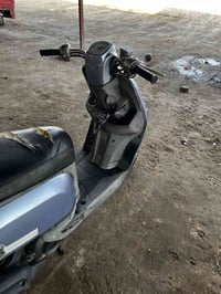 ماكس بوليس • كفاله عامه • بصره الهارثه