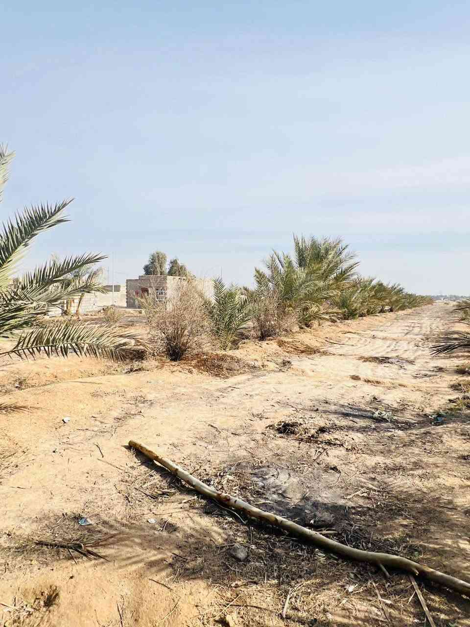 سلام عليكم 5دوانم للبيع سند25 واجهيه 30 متر  بيهن 2ابيوت مساحه. كل بيت  150 متر+ بير ماطور غطاس+ 250 نخله للستفسار ‏‪***********‬‏
