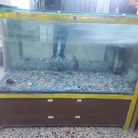 حوض سمك • للبيع