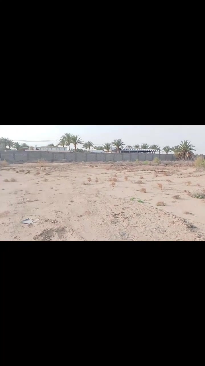 أرض مساحة دونمين خلف جامعة المستقبل مباشر
طابو زراعي ملك صرف سند مستقل 

ينباع منهة نصف دونم/ودونم/ ودونمين

متوفر خدمات مي اساله وكهرباء ومولده 

للاستفسار اكثر الاتصال بلرقم الموجود بلمنشور/***********
