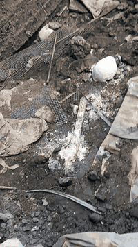 كادر خلفات  الفلوجه   لبخ +نثر +       واجهيات   +  طلس+ تقطيع+ تطعيم   شغل درجه اولى   *********** التزام بالعمل
