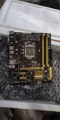 مذر بوردات • شلع او مفرد • البصرة