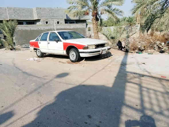 دولفين مديل 1991 رقم الماني انبار راعيها ماواصله بديالى كبل ابيع كوم حديد ماتكفل بشي فقط سرقه وأصوليات بيها وكاله عامه من شخص مشتريها بس هم ماواصله سعرها بلاش مليون دينار عراقي فقط سياره بيها مكينه وكير ثنين ونص لاضربه ولامعجون حلوه نقصها حداديه وشقلات بسيطه ماتكلف شقاله وكامله رقم الجهاز *********** المو شراي لايتعبني رجائن سياره بلاش وتفاصيلها ذاكرهن السنويه كارتونيه منتهيه 2019
