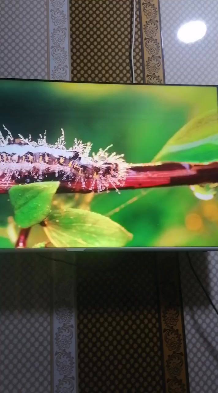 شاشه لبيع بكاني تنومه صالحيه عقارات شايب شارع احمد الوائلي ***********
