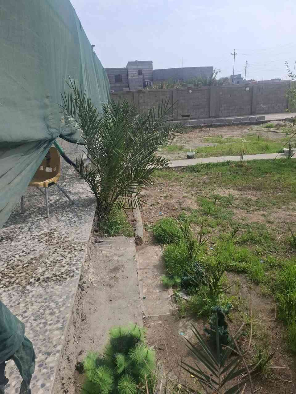 سلام عليكم بستان للبيع مساحته 1500متر يتكون من بيتين مساحه كل بيت 160متر بناء طابوك طابو  صرف بسمنه العنوان البصره حي زيتون مقابيل سجن حمدان الاستفسار الاتصال ***********....***********
