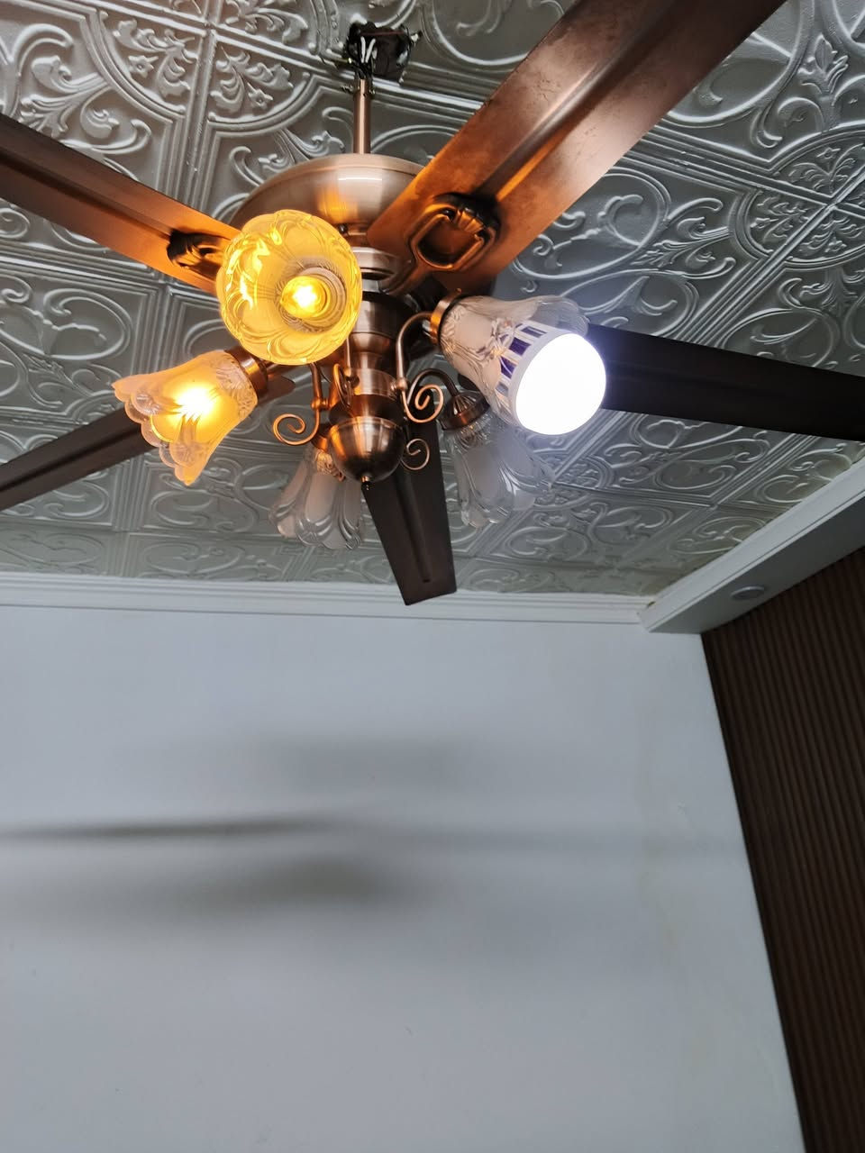 بنكات نحاس كلها اصلي ٥  ريش ام الثرية للبيع ٢ سعرهن ٢٥٠


**إذا كنت صاحب هذا الإعلان وتريد حذفه لأي سبب، رجاءا أرسل رسالة إلى الدعم الفني**