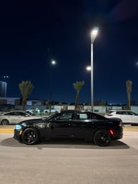 تشارجر SXT • ٢٠١٨ • كشنات جلد