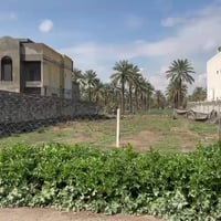 يوجد لدينا 1000متر للبيع موقع بغداد الراشديه منطقة كاظم العالي شارع شي...