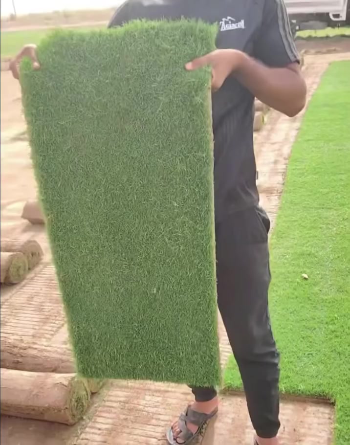 سلام عليكم برخصتكم 
منو يريد #ثيل_ديالى_هندي_اربعة فصول
اني طلبت 50 متر لكن حديقتي يكفي 28 متر يعني 22 متر زيادة واني اريد ابيعه بنفس السعر 
اذا احد يريد خلي يراسلني اني مكاني اربيل 
***********
