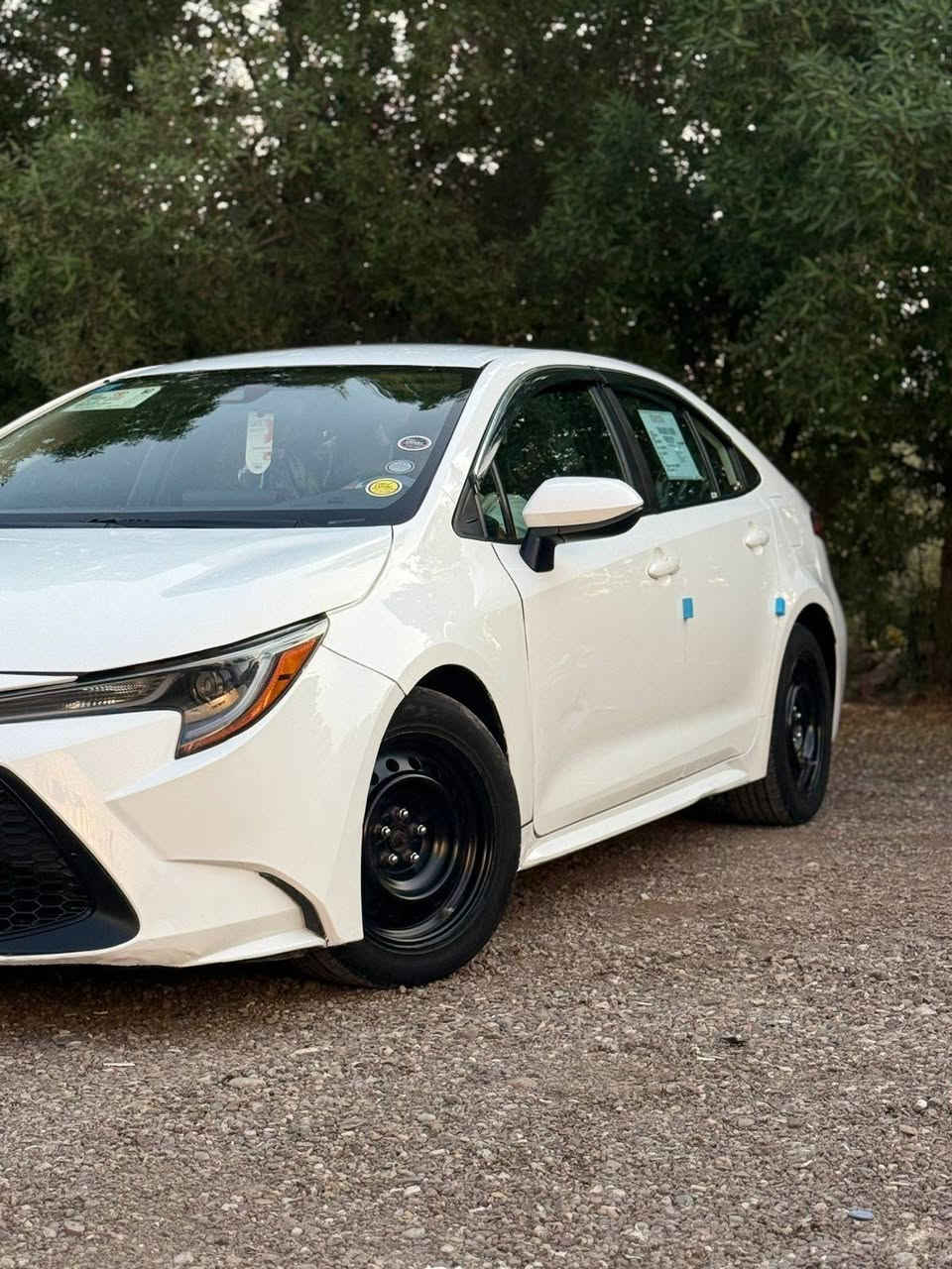 موديل ٢٢ Le قطعتين صبغ جاملغ وبنيد. اريد مراوس النترا هايبرد
مكاني بغداد السيديه....


**إذا كنت صاحب هذا الإعلان وتريد حذفه لأي سبب، رجاءا أرسل رسالة إلى الدعم الفني**