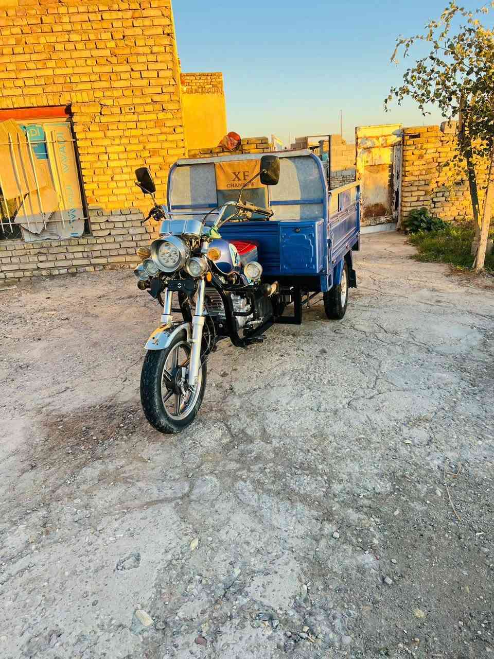 سلام عليكم 
 ستوته للبيع 
صقر 
مكفوله كفاله عامه 
***********
