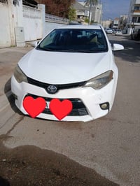 كورلا • ٢٠١٤ • كندي