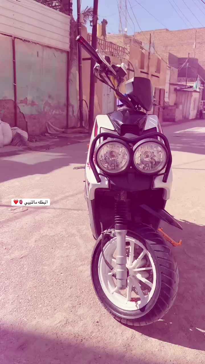 سكنس جبلي صارلها شهرين من طلعتها من حاويه


**إذا كنت صاحب هذا الإعلان وتريد حذفه لأي سبب، رجاءا أرسل رسالة إلى الدعم الفني**