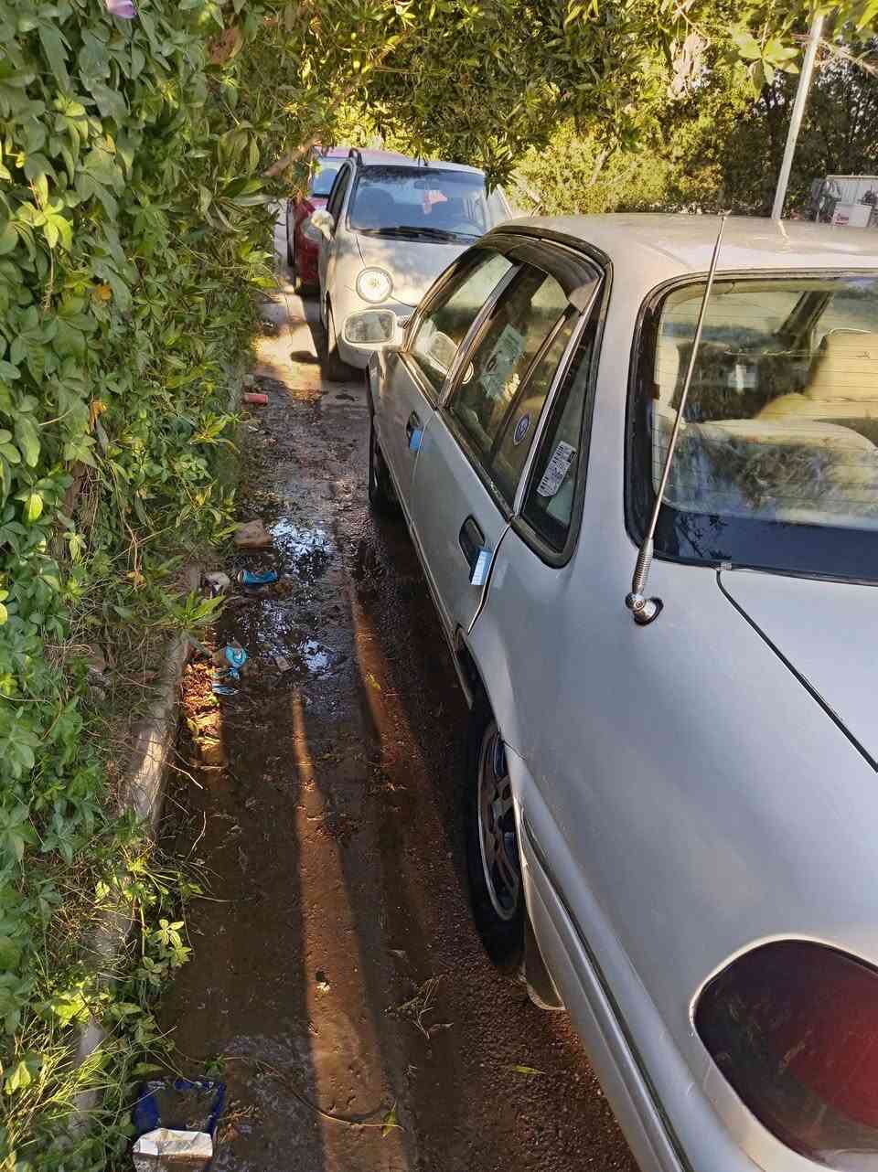 السلام عليكم برنس موديل ٩٦ فراشه السعر ٣٥ تحويل ثاني يوم المكان حي الخضراء رقم التلفون ***********
