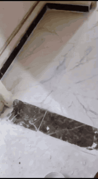 بيت البيع خلفي80م بسومر وره مدرسه الصديق الابتدائيه قريب ع مرورالسايدين طابقين
يتكون البيت 
الطابق الأول 
غرفه 
مطبخ 
صاله 
دوانبه 
الطابق الثاني 
غرفتين وجهن السطح
________________________________________________نستقبل كافه العروض من العقارات معليك بس رسلنه ورح ينباع عقارك بسرعة وقت بعموله جداً بصيط ورزق على الله الاستفسار التوصل الاتصال على رقم 
وتساب***********☎️☎️
اتصال ‏‪***********‬‏📞📞
