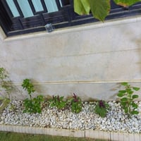 العامري • تصميم حدائق • البصرة