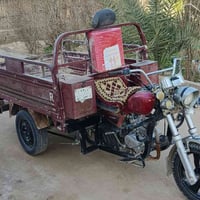 ستوته • موديل ١٤ • مكفولة