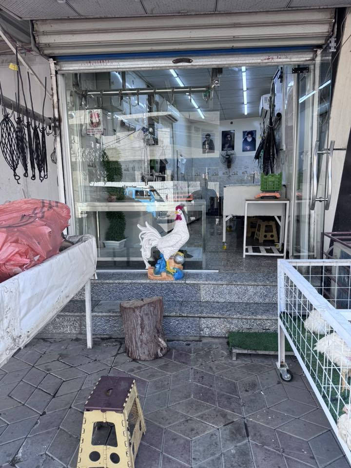 سلام عليكم محل اسماك ودجاج للبيع كامل جاهز مكانه مشتل شارع تجاري موقع كامل ما عايز اي شي  للستفسار ***********
