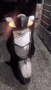 السلام عليكم ورحمه الله وبركاته السعر 125 الرقم و الاستفسار
***********
