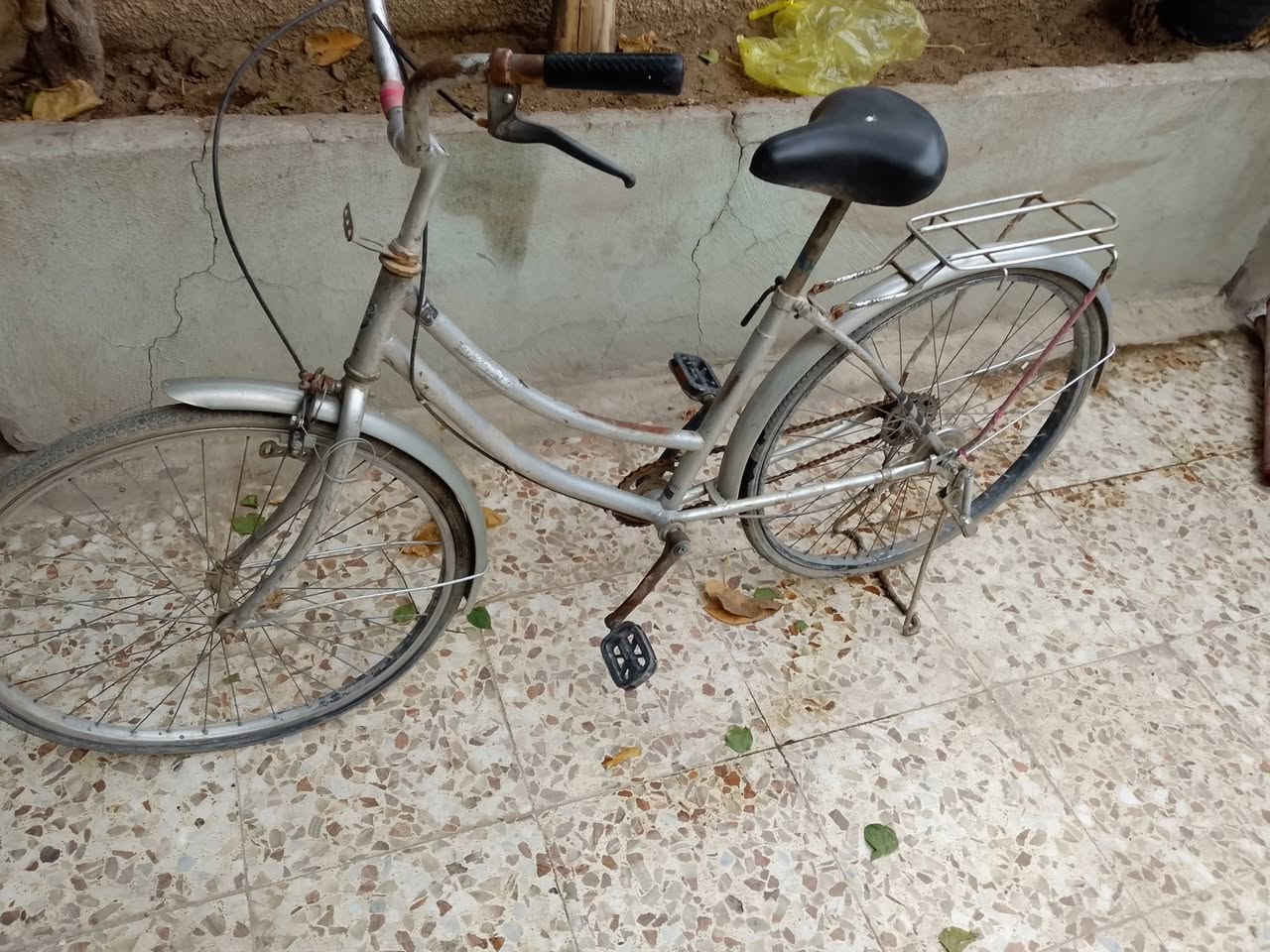 سلام عليكم بايسكل بناتي نضيف وكامل مكمل حجم26بريكات كامله وياله عدله بس تايرات نازله متروك وكامل سعره35مكاني حي الجهاد بغداد بي مجال*********** مستعجل مستعجل علبيع
