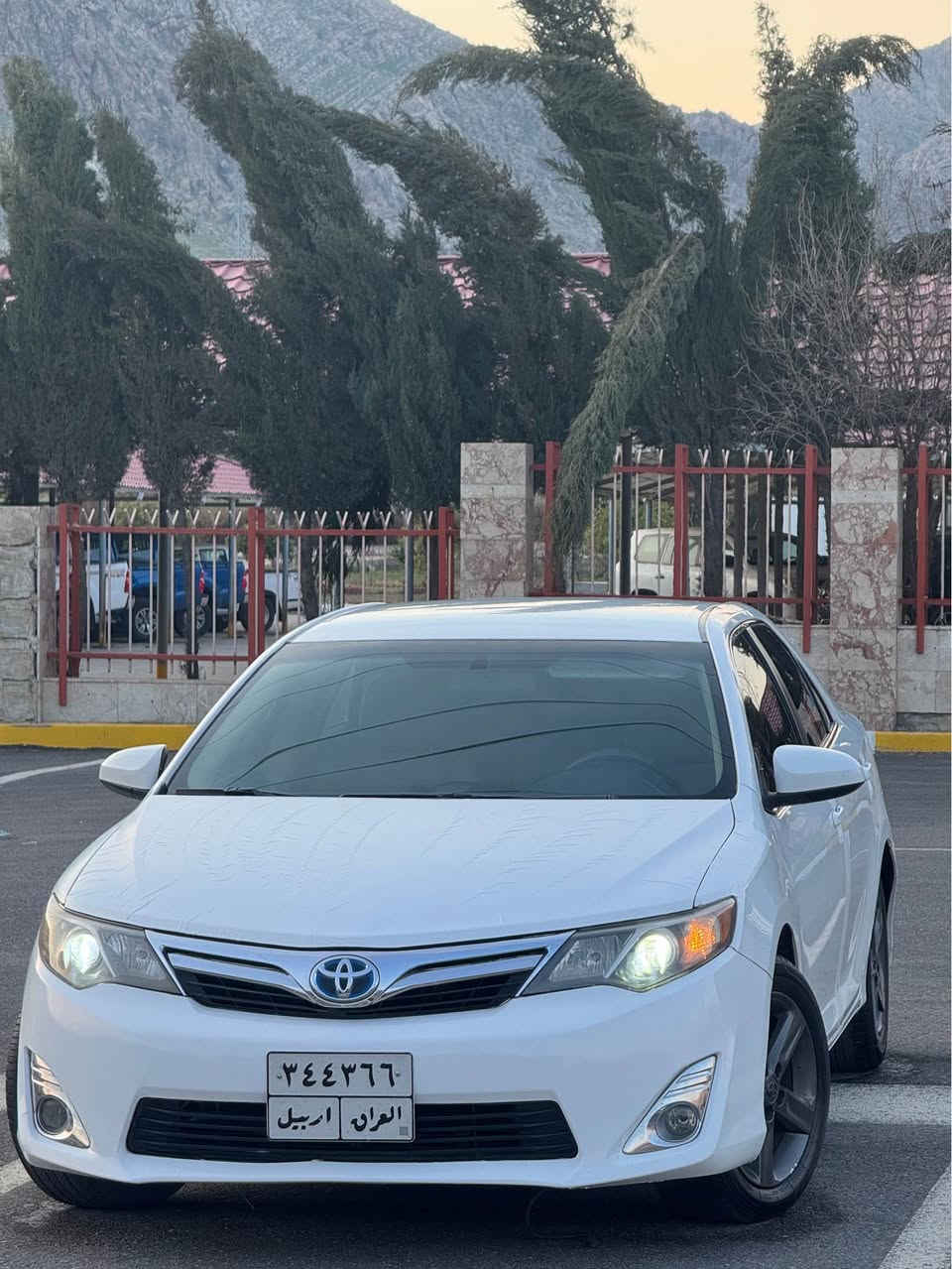 Toyota camry2012 📦🤍
***********
***********

سەرەتا بەناوی خوای گەورە

کامری مۆدیل ٢٠١٢ Le
یەک پارچە بۆیاخ بێ ناو گرتن بەس بۆنیت 
چوار تایەو ویلی لۆکی بۆ بەستراوە 
سەنەوی بەناوی خۆمانە 
پشت و پێشی  کەپسە 
سەیارەکە هی ماڵێیە ٤سالە لای خۆمانە
گێڕ و مەکینە و کارەبای 
هەموو گیانی بە شەرت

نرخی  ١٣٣ مەجالێکی کەم 

شوێن  حاجیاوا 

***********
***********
. رانية, السليمانية
