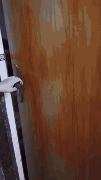 سلام عليكم تخم مصري نضيف كلش ١٠مقاعد سعره مليونين وبيه مجال للشراي مكاني بغداد الشعب ورة سوك شلال رقمي فقط واتساب ***********
