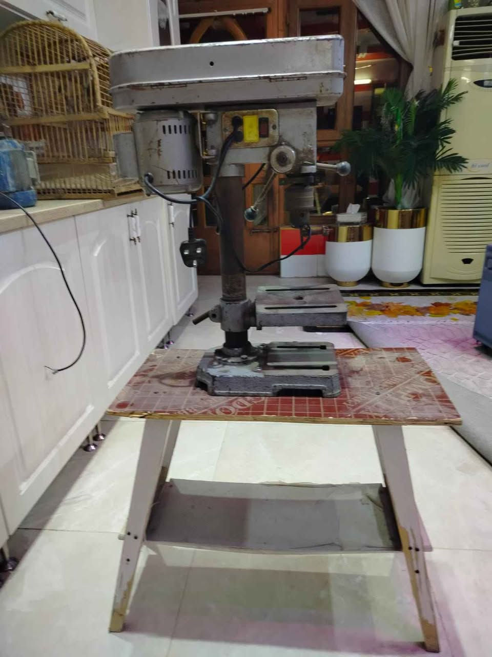 ‎دريل مال شركه عامه ياباني مال بيت استخدام اسبوع أربع سعر سعر 275 بغداد زيونع‎ بغداد, العراق


**إذا كنت صاحب هذا الإعلان وتريد حذفه لأي سبب، رجاءا أرسل رسالة إلى الدعم الفني**