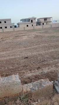 قرية الصياد • ٣١٠م • مي وكهرباء